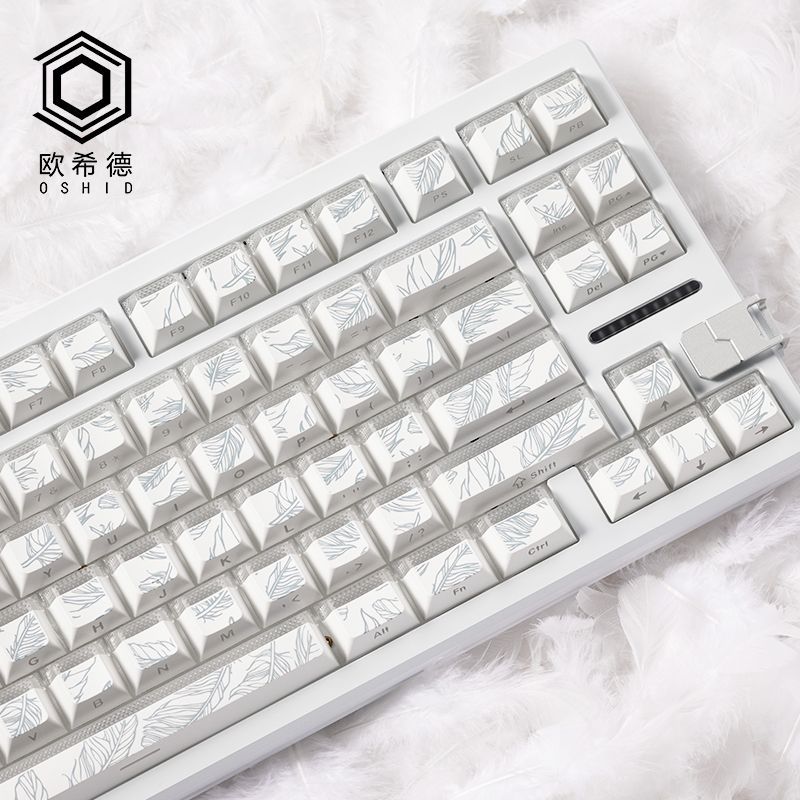 Feather Pattern 97 Keycaps Che - Gaming Keyboard Tkl recension och pris
